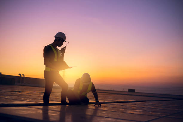 Best Roof Gutter Cleaning  in Mangonia Park, FL